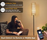Rayofly Rattan Állólámpa - Távirányítós, Alkalmazással Vezérelhető, Bohém Stílusú Fekete Lámpa Nappali és Hálószoba Világításhoz, LED Izzóva 8