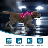 iTayga LED-es kutyahám - Biztonságos, állítható, USB-tölthető, fényvisszaverő, fekete-zöld, L 2