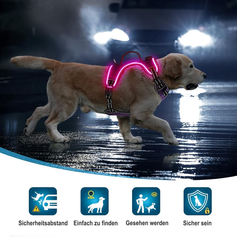 iTayga LED-es kutyahám - Biztonságos, állítható, USB-tölthető, fényvisszaverő, fekete-zöld, L