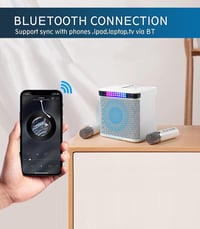 EASJOY hordozható Bluetooth karaoke hangszóró 2 vezeték nélküli mikrofonnal, LED fénnyel 3