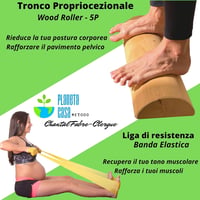 PLANETA CASA Proprioceptív Medencefenék Tréner - Fa Törzs 5 Rugalmas Szalaggal, 49,5 x 17 cm, Spanyol Minőségi Kivitel, Gátizom Erősítő Eszk 2