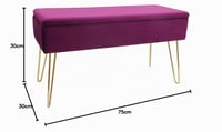 ECHTWERK Scarlett tapecirana klupa s baršunastom presvlakom, sandukom za pohranu i metalnim nogama, 75x30x41,5 cm, boja bobičastog voća 10