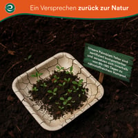 ECO SOUL Bambusovi papirnati tanjuri za jednokratnu upotrebu 25 cm (10") – pakiranje od 100 komada, ekološki prihvatljivi tanjuri za jednokratnu upotrebu 5