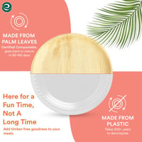 ECO SOUL Bambusový jednorazový tanier 25 cm, 50 ks – Okrúhly papierový tanier na jedno použitie z prírodného materiálu 9