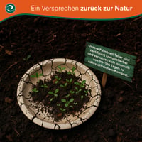 ECO SOUL Okrúhly tanier z palmových listov 20 cm, 100 ks – 100 % kompostovateľný jednorazový tanier na párty, bio riad na jedno použitie, odolný voči mastnote a vode 5