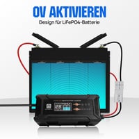 ECO-WORTHY 12V/24V 20A LiFePO4 nabíjačka batérií s automatickou detekciou 4