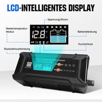 ECO-WORTHY 12V/24V 20A LiFePO4 nabíjačka batérií s automatickou detekciou 5