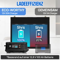 ECO-WORTHY 12V/24V 20A LiFePO4 nabíjačka batérií s automatickou detekciou 6