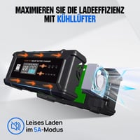 ECO-WORTHY 12V/24V 20A LiFePO4 nabíjačka batérií s automatickou detekciou 8