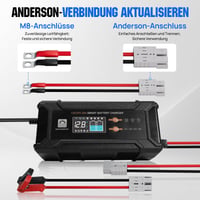 ECO-WORTHY 12V/24V 20A LiFePO4 nabíjačka batérií s automatickou detekciou 9
