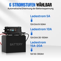 ECO-WORTHY 12V/24V 20A LiFePO4 nabíjačka batérií s automatickou detekciou 3