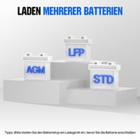 ECO-WORTHY 12V/24V 20A LiFePO4 nabíjačka batérií s automatickou detekciou 2
