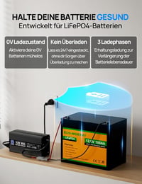 ECO-WORTHY 14,6V 20A LiFePO4 Akkumulátor Töltő Anderson Csatlakozóval - Gyorstöltés Autó, Teherautó, Mélyciklusú Akkumulátorokhoz 2