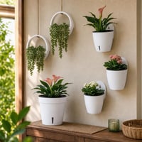 Zeleni kutak set: 2x viseći sukulent + 4l samozalijevajuća posuda + 3x zidni držač 1