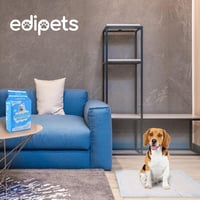 Edipets Kutyapelenka tréning betét kölyköknek 60x60 cm felszívó eldobható kiskutya vécéalátét 20 db 6