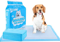 Edipets Kutyapelenka tréning betét kölyköknek 60x60 cm felszívó eldobható kiskutya vécéalátét 20 db 1