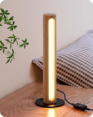 Stolna noćna lampa EDISHINE DHLTL02J