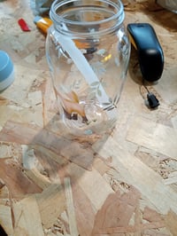 Detská fľaša na pitie so slamkou Mepal Campus 450 ml – vzor Forest Friends, modrý uzáver — odskúšaná (stav: pozri 2. obrázok) 3