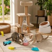 Kit complet pentru pisici: 2 zgărzi cu clopoțel + 2 jucării interactive + ansamblu + bol înălțat + perie 1
