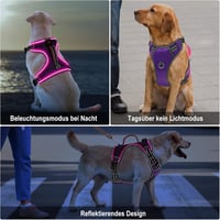 iTayga LED-es kutyahám - Biztonságos, állítható, USB-tölthető, fényvisszaverő, fekete-zöld, L 5