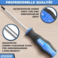 EFFEKTWERK 6 részes Torx csavarhúzó készlet T10-T40 mágneses fejjel 6