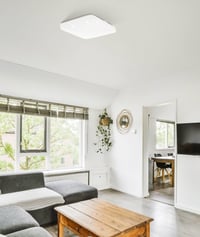 EGLO Frania LED stropna svjetiljka, 1 žarulja, bijela, čelik i plastika, 43 cm, rasvjeta za dnevni boravak i spavaću sobu 3