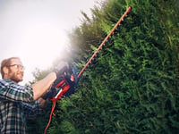 Foarfecă de gard viu electrică Einhell GC-EH 6055/1, 600W, lungime de tăiere 55 cm, cu întrerupător de siguranță pentru două mâini și mâner Softgrip 2