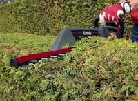 Foarfecă de gard viu electrică Einhell GC-EH 6055/1, 600W, lungime de tăiere 55 cm, cu întrerupător de siguranță pentru două mâini și mâner Softgrip 3