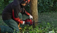 Benzínová reťazová píla Einhell GC-PC 2040 I, 50 cm³, dĺžka rezu 40 cm, motorová píla na záhradné práce 2