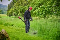 Akumulátorový krovinorez Einhell Professional GP-BC 36/430 Li BL-Solo – Solo (bez akumulátora a nabíjačky) 4
