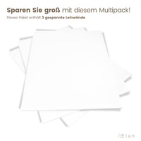Napnuté maliarske plátno Elan 80x120 cm, 100 % bavlna 280 g/m², biely podklad Gesso, rám z dreva s certifikátom FSC, pre začiatočníkov aj pokročilých — súprava 2 ks 7