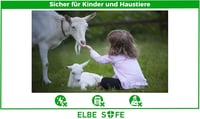 Capcană cu eliberare Elbe pentru jder, pisică, câine, 80 x 29 x 32 cm, rezistentă la intemperii, design sigur pentru copii și animale 4