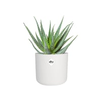 elho B.for Soft Round okrugla posuda za cvijeće 22 cm - Bijela 7