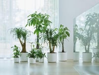 Kvetináč elho B.for Soft Round – biely, priemer 35 cm, výška 32,3 cm, na vnútorné použitie, 100 % recyklovaný plast 5