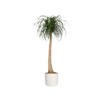 Kvetináč elho B.for Soft Round – biely, priemer 35 cm, výška 32,3 cm, na vnútorné použitie, 100 % recyklovaný plast 9