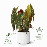 Kvetináč elho B.for Soft Round – biely, priemer 35 cm, výška 32,3 cm, na vnútorné použitie, 100 % recyklovaný plast 2