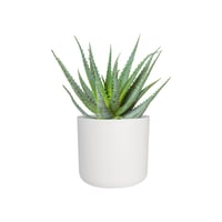 Kvetináč elho B.for Soft Round – biely, priemer 35 cm, výška 32,3 cm, na vnútorné použitie, 100 % recyklovaný plast 7