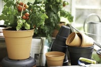 Ghiveci pentru răsaduri Elho Green Basics 19 cm - Verde frunză 2