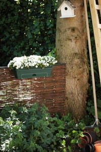 Balkónový kvetináč elho Green Basics All-in-1 – listová zelená, 49x16,5 cm, na vonkajšie a balkónové použitie, s integrovanou podmiskou 2