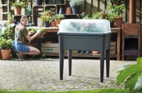Elho Green Basics Grow House XXL 75 átlátszó növénynövesztő doboz 74,5x20,3cm - 36 cm, transparent 5
