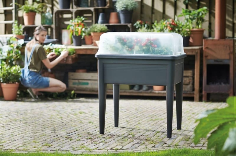 Elho Green Basics Grow House XXL 75 átlátszó növénynövesztő doboz 74,5x20,3cm - 36 cm, transparent
