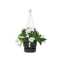 Ghiveci suspendat elho Greenville 24 cm - Negru 3