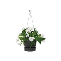 Ghiveci suspendat elho Greenville 24 cm - Negru 8