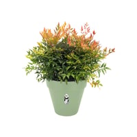 Ghiveci de flori elho Loft Urban Round - 25 cm, Verde Fistic 3