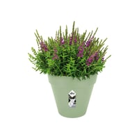 Ghiveci de flori elho Loft Urban Round - 25 cm, Verde Fistic 8