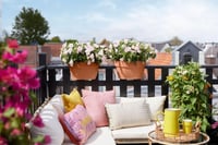 Elho Vibia Campana Flower Bridge 40 balkónový kvetináč – 39x22 cm – terakotovo hnedá farba – balkónový kvetináč vhodný na vonkajšie použitie 6