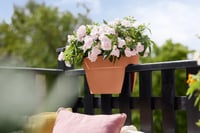 Elho Vibia Campana Flower Bridge 40 balkónový kvetináč – 39x22 cm – terakotovo hnedá farba – balkónový kvetináč vhodný na vonkajšie použitie 7