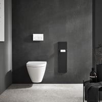 Emco ASIS Pure Beépített WC-kefe Szekrény Toalettpapír Tartóval, Fekete 4