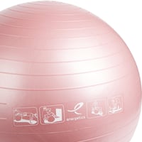 Minge de gimnastică Energetics 145063 - Roz, 55 cm 2