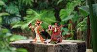 Mini figúrka Enesco Disney Traditions Pumbaa – Zberateľská soška Leví kráľ, 8x4,5x7,5 cm, 1 ks 7
